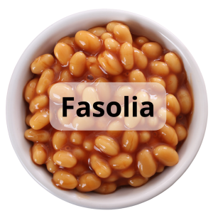 Fasolia / فاصوليا